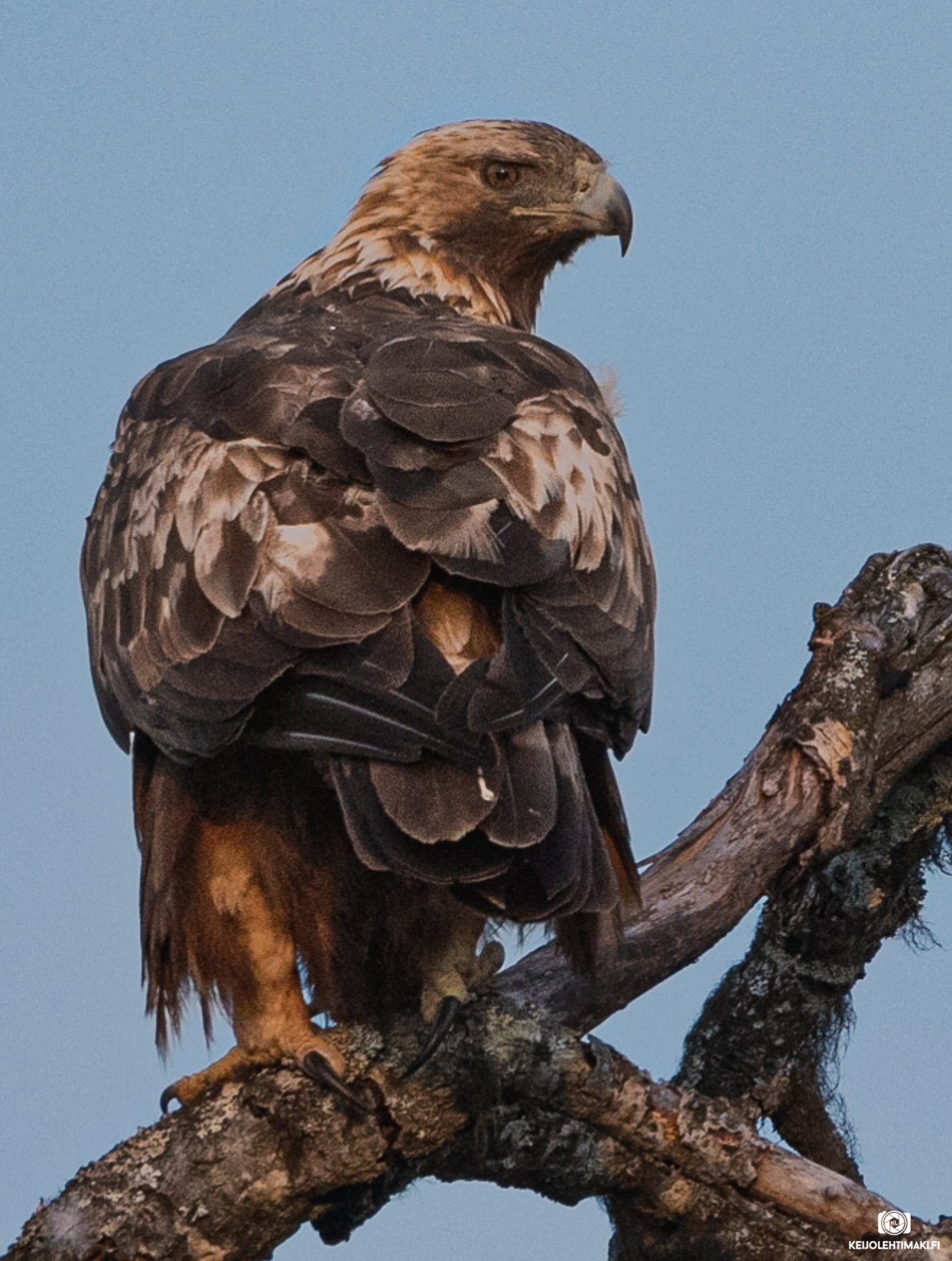 KL20190723_DSC_5403-4